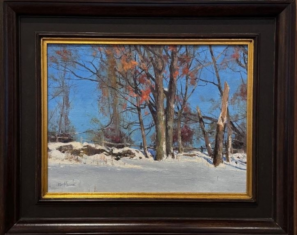 Red Oaks on a Sunny Winter Day