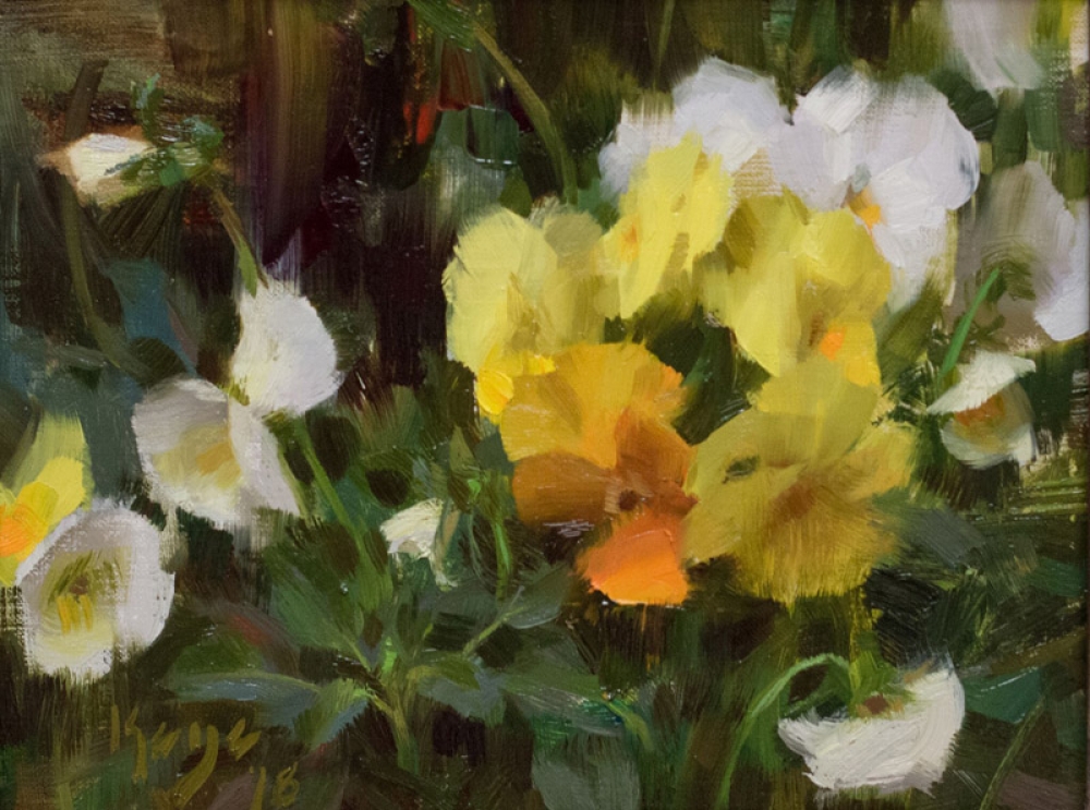 Spring Pansies