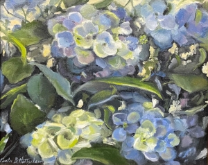  Click to See Garden Blues